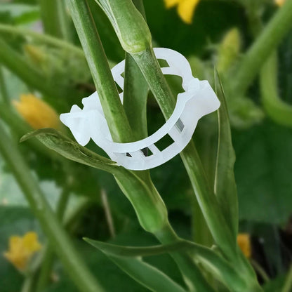Herbruikbare Plantenclips voor Groenten en Tuinplanten