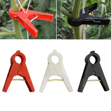 Plantensteun Clips voor Moestuin en Klimplanten