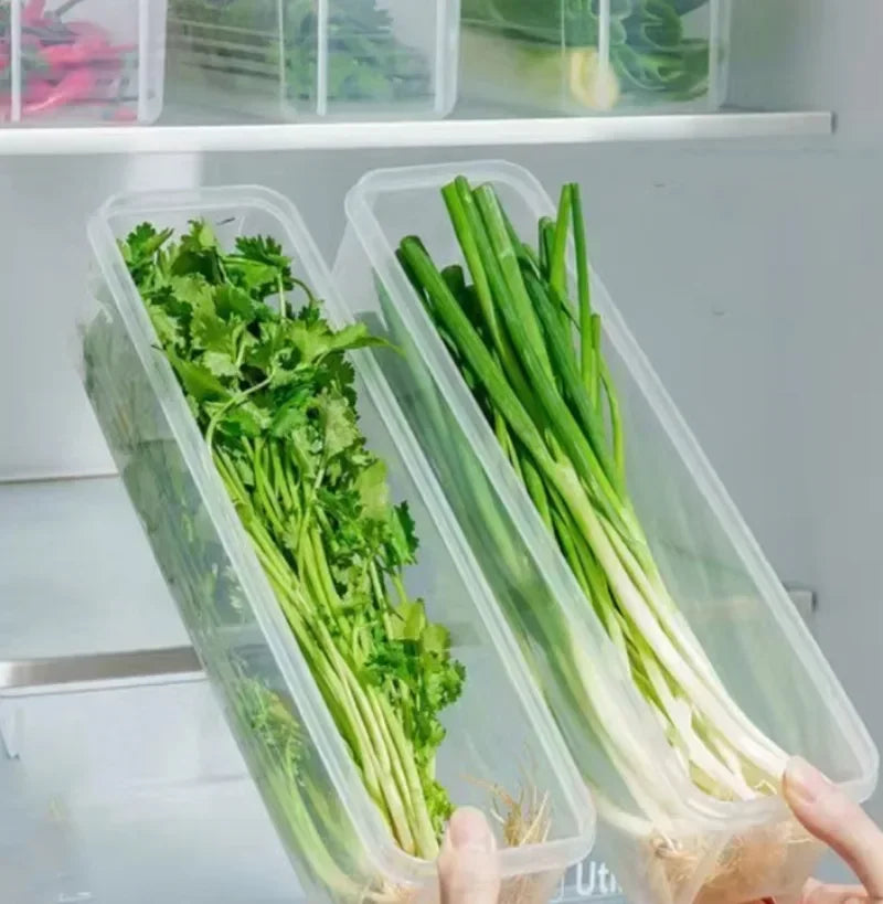 Kinder Tandenborstelhouder met Deksel en Wandmontage