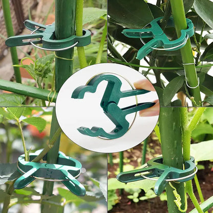 Herbruikbare Plantclips voor Klimplanten
