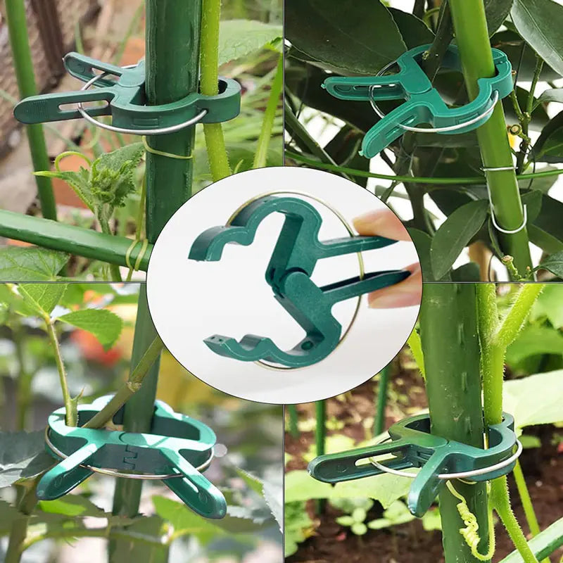 Plantenclips kliksluiting plastic
