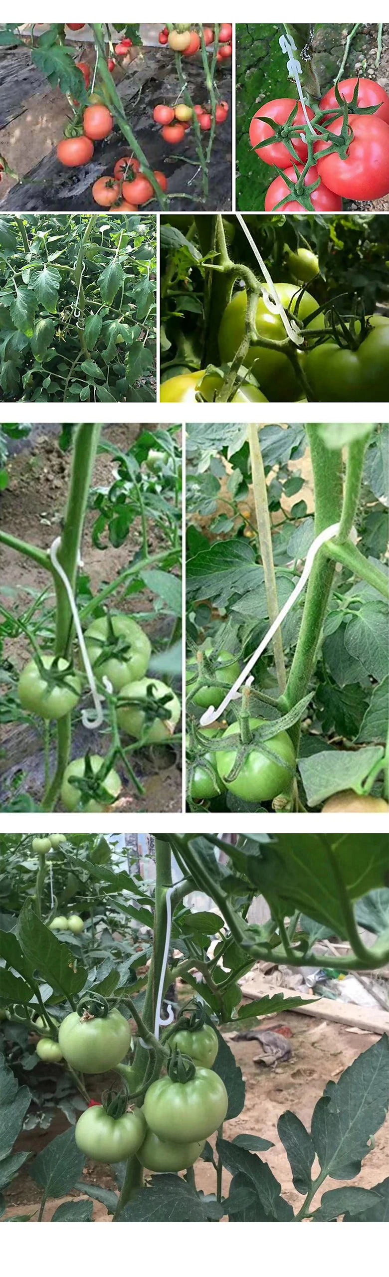 J-vormige Plantenclips