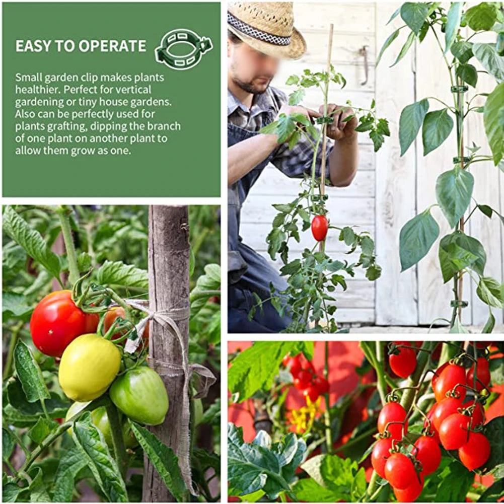 100 Kunststof Plantbevestigingsclips