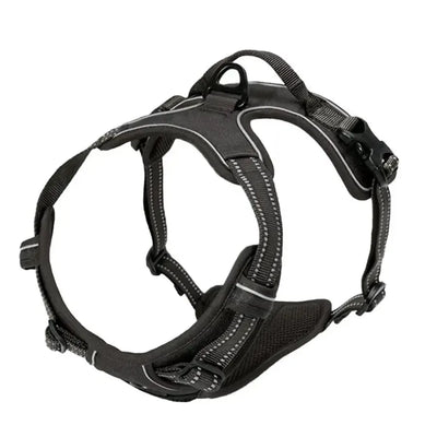 Harnas halsband en riem set hond