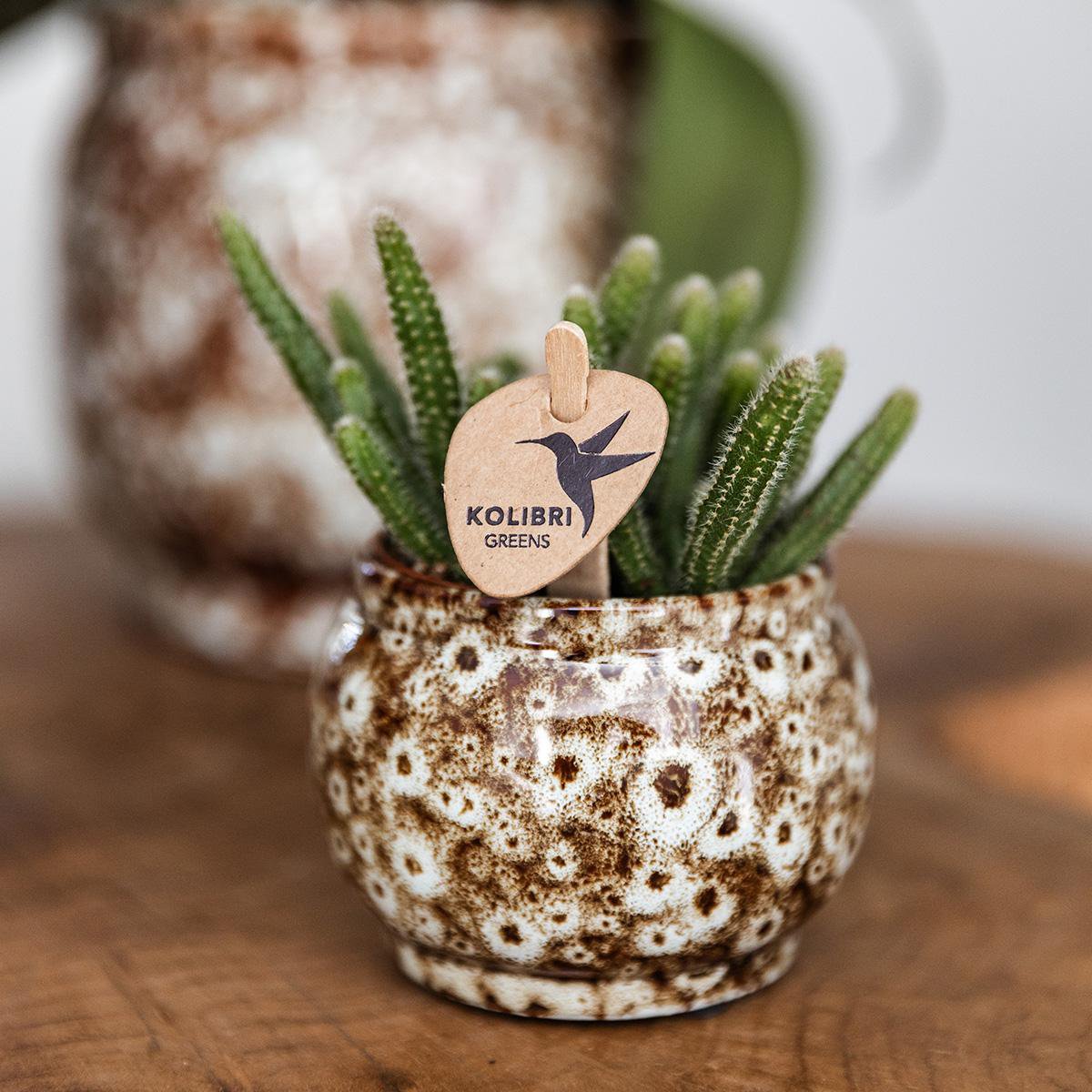 Plantenpot keramiek beige Ø12 cm