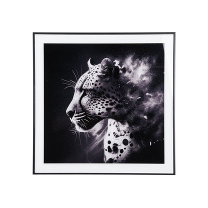 Leopard Photography Art