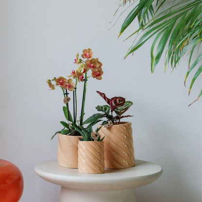 Ceramic Decorative Pot Peach Ø9 cm