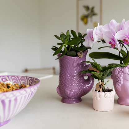 Sierpot keramiek vis ontwerp lila Ø9 cm