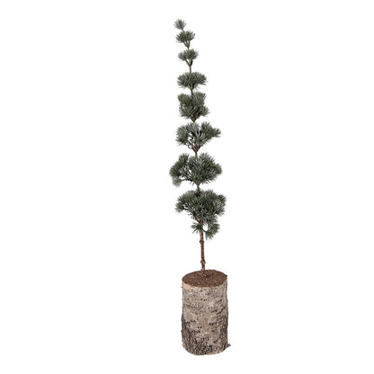 Mini Kunstkerstboom 15x15x80 cm Groen Hout