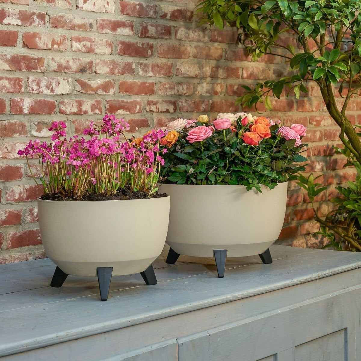 Plantenbak buiten Doppio Beige