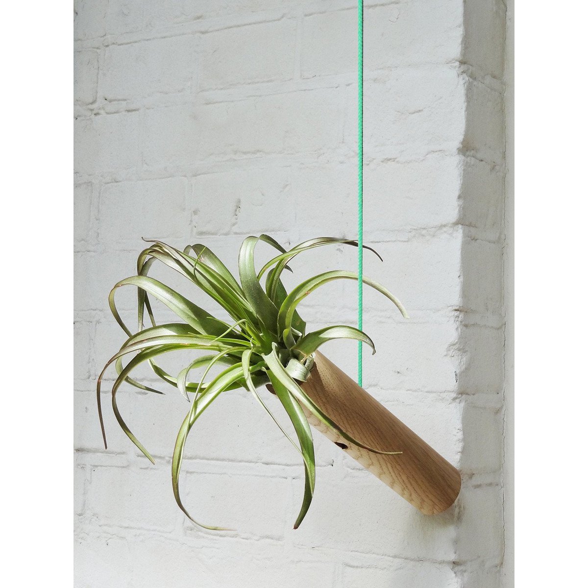 Hangcilinder licht eiken 18x4 cm