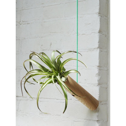Hangcilinder licht eiken 18x4 cm