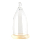 Bell jar Ø 14x29 cm Wood Glass Bell Jar