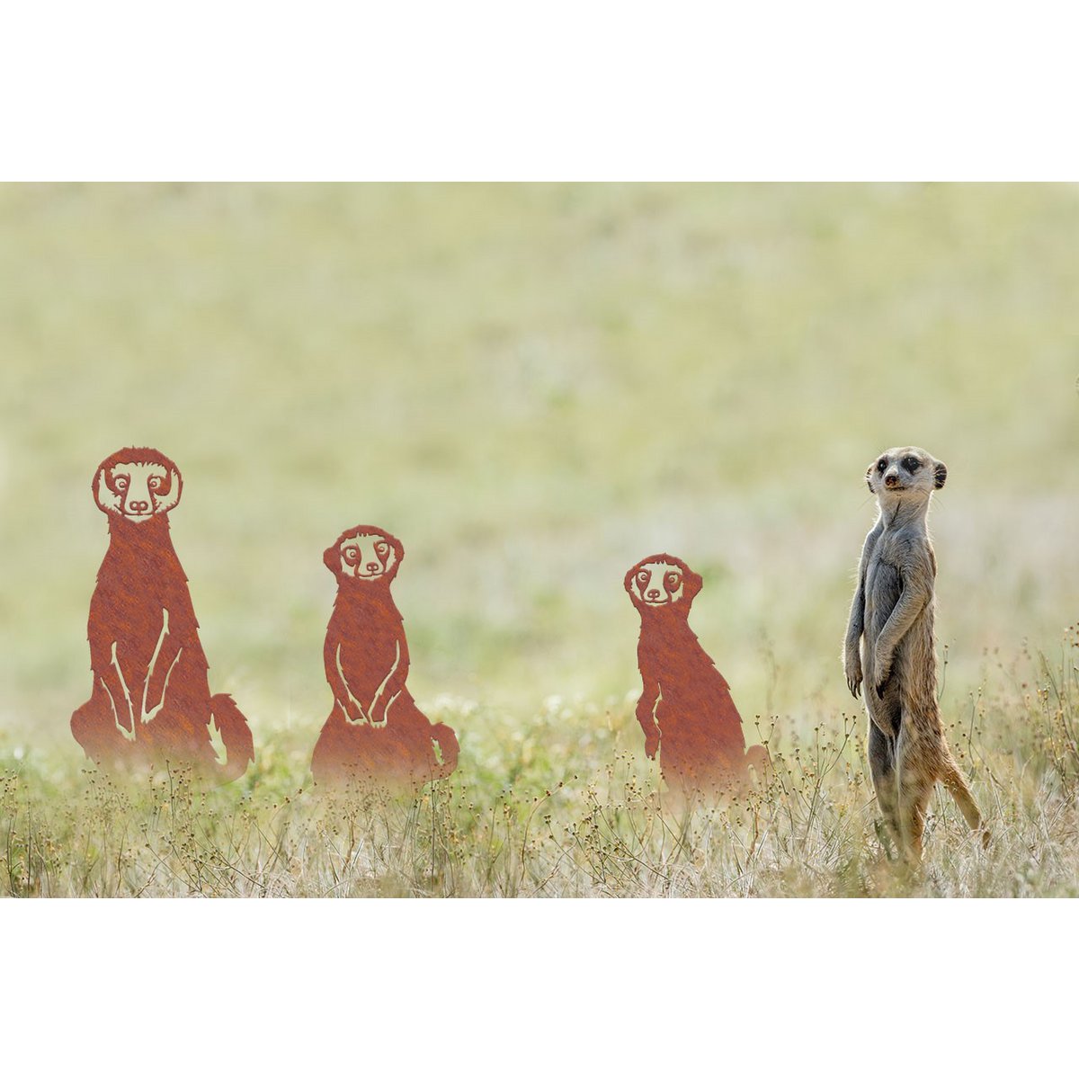 Geluksdieren Stokstaartjes Familie Ricci Ruby Rocky Set 3