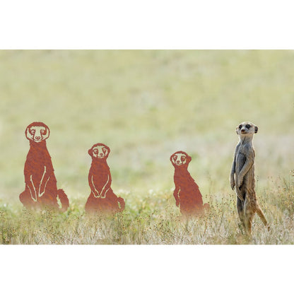 Geluksdieren Stokstaartjes Familie Ricci Ruby Rocky Set 3