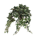 Artificial Hanging Plant Ivy Green