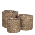 Plantenmand set zeegras lichtbruin 3 stuks