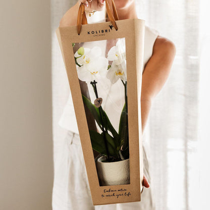 Cadeautasje orchidee 9 cm pot wit