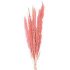 Droogboeket 100 cm roze gras