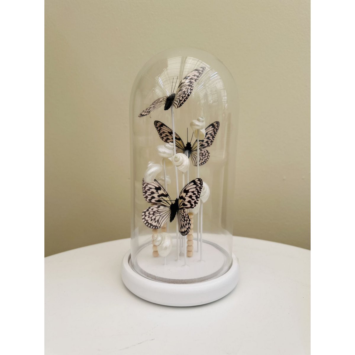 Vlinderdecoratie met schelpen in stolp 14x26 cm