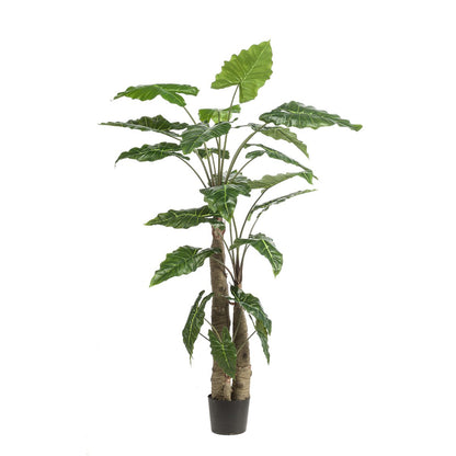Kunstplant Alocasia 180 cm