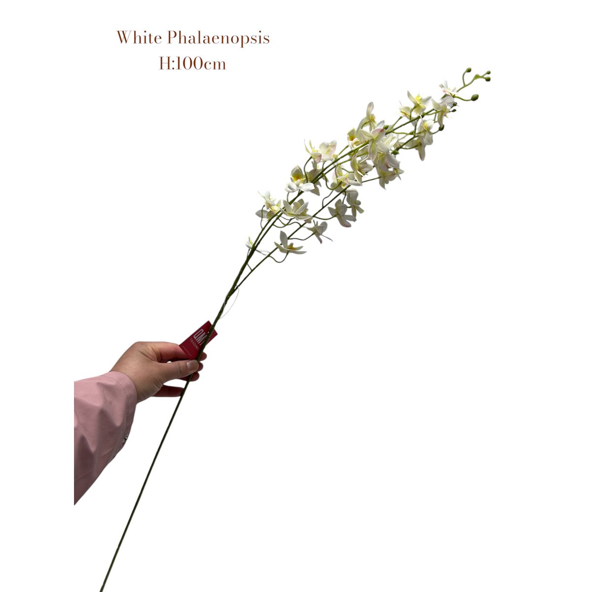 White Phalaenopsis | Silk Artificial Flower | Length 100 1pcs