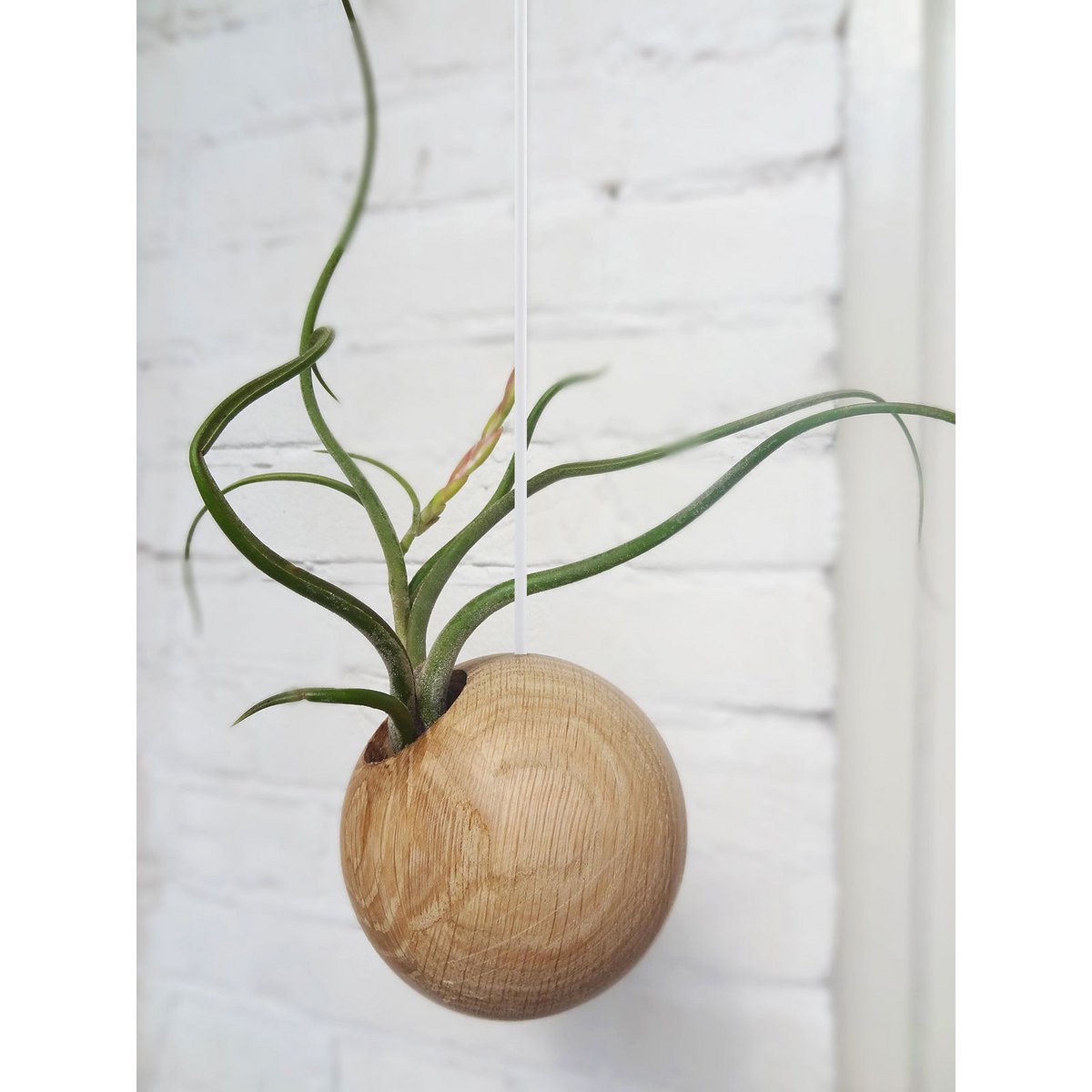 Hangbol licht eiken Ø10 cm