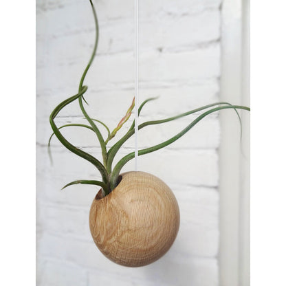 Hangbol licht eiken Ø10 cm
