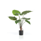 Kunstplant Alocasia 70 cm groen