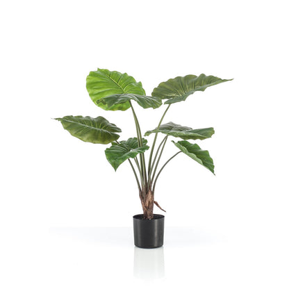 Kunstplant Alocasia 70 cm groen
