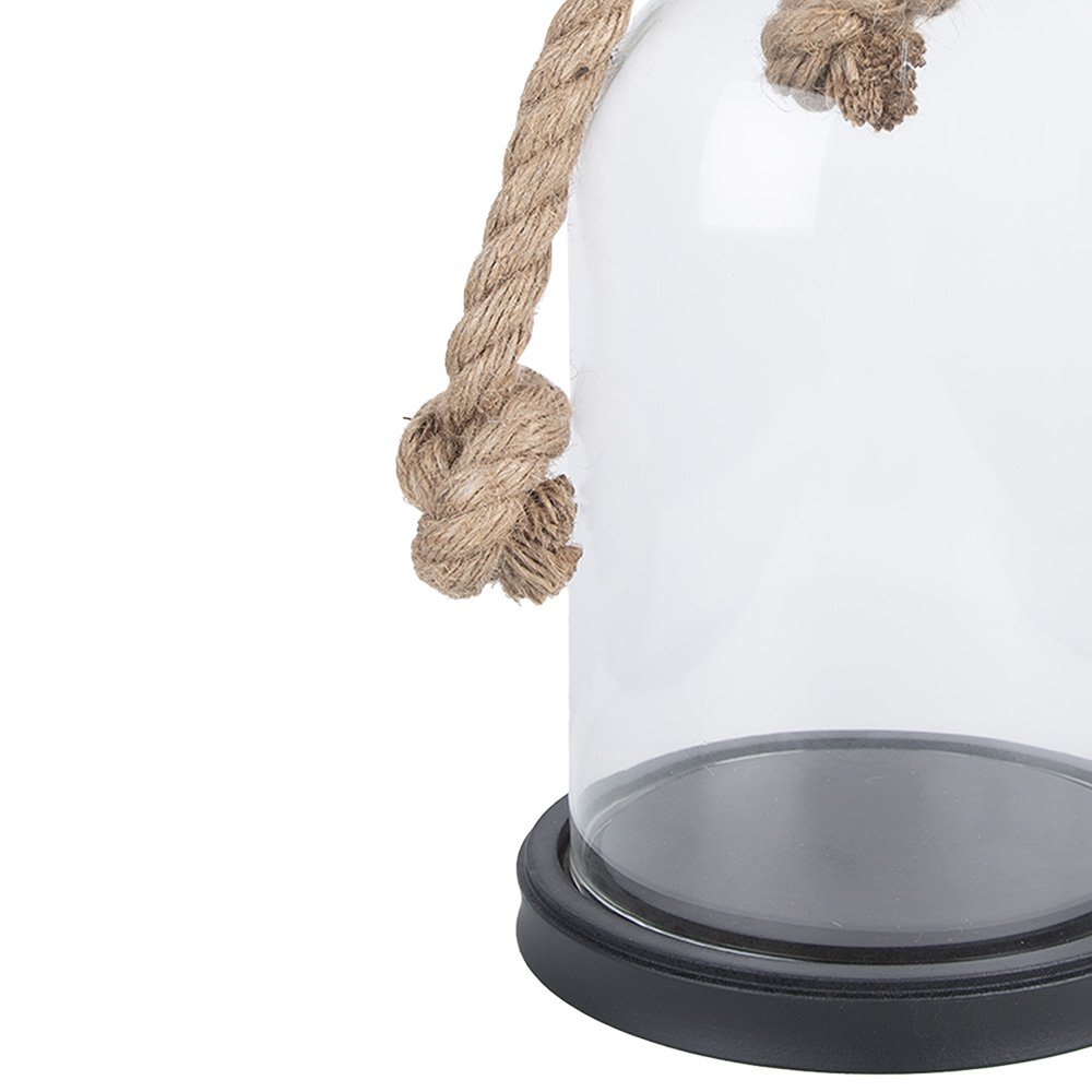 Bell Jar Ø 17x28 cm Transparent Wood Glass Bell Jar