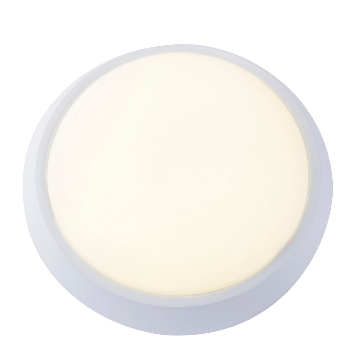 LED Plafondlamp 25 cm metaal wit plastic opaal