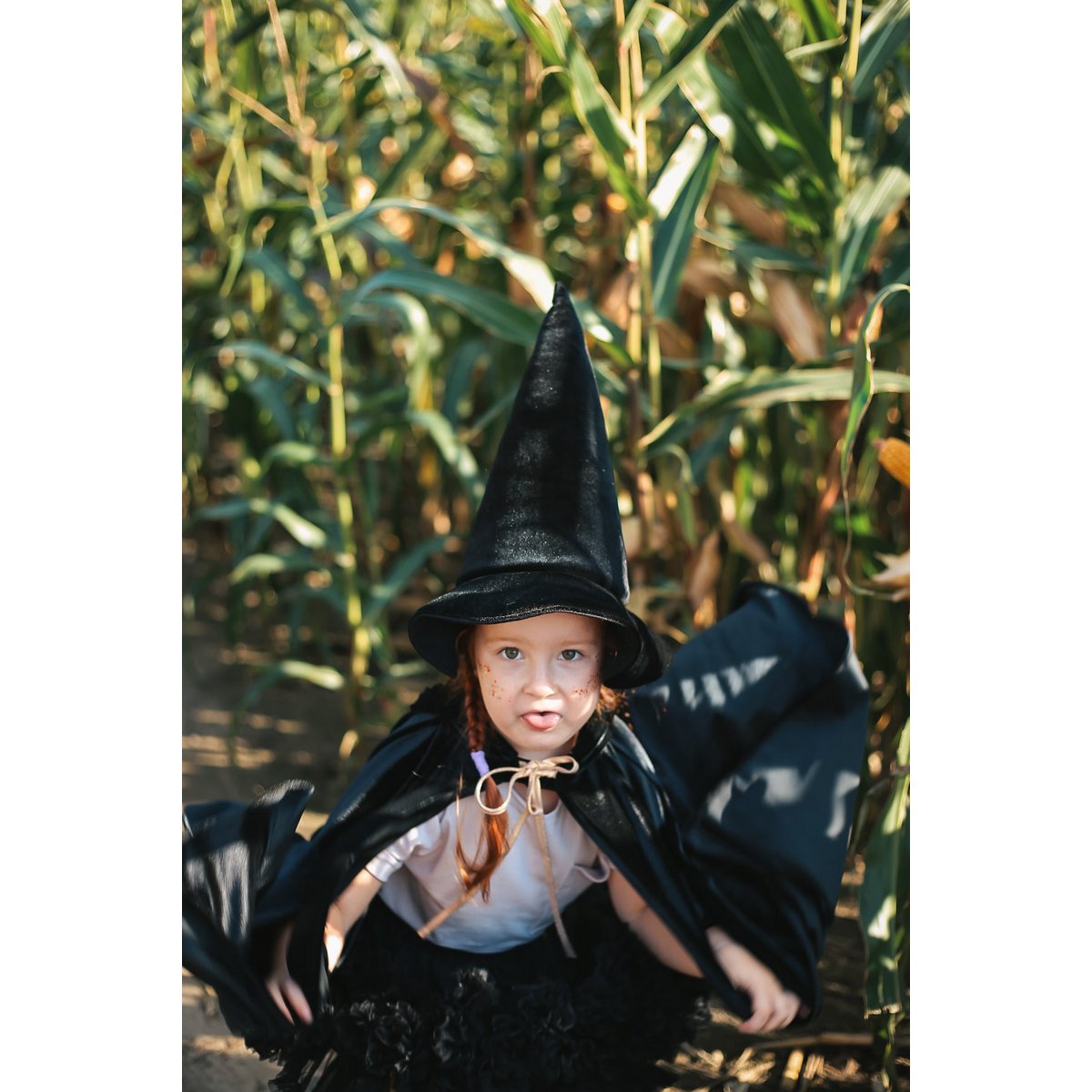Witch's Hat 'Black Magic'