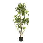 Kunstplant Polyscias Aralia 160 cm