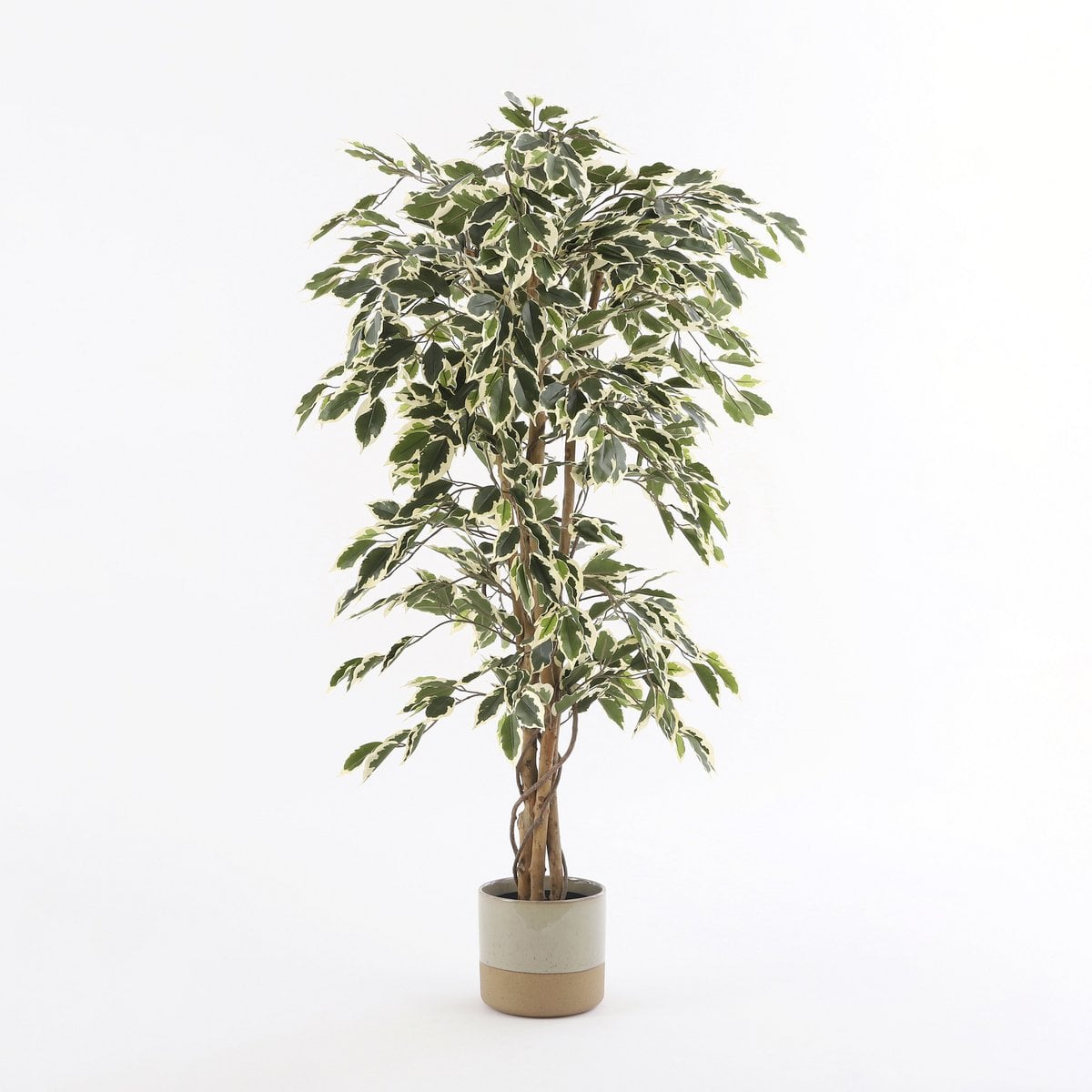 Kunstplant Ficus H150xØ75 cm groen