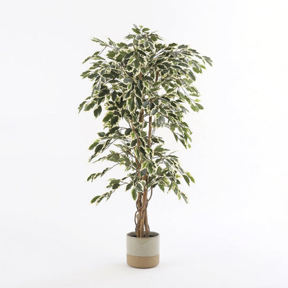 Kunstplant Ficus H150xØ75 cm groen