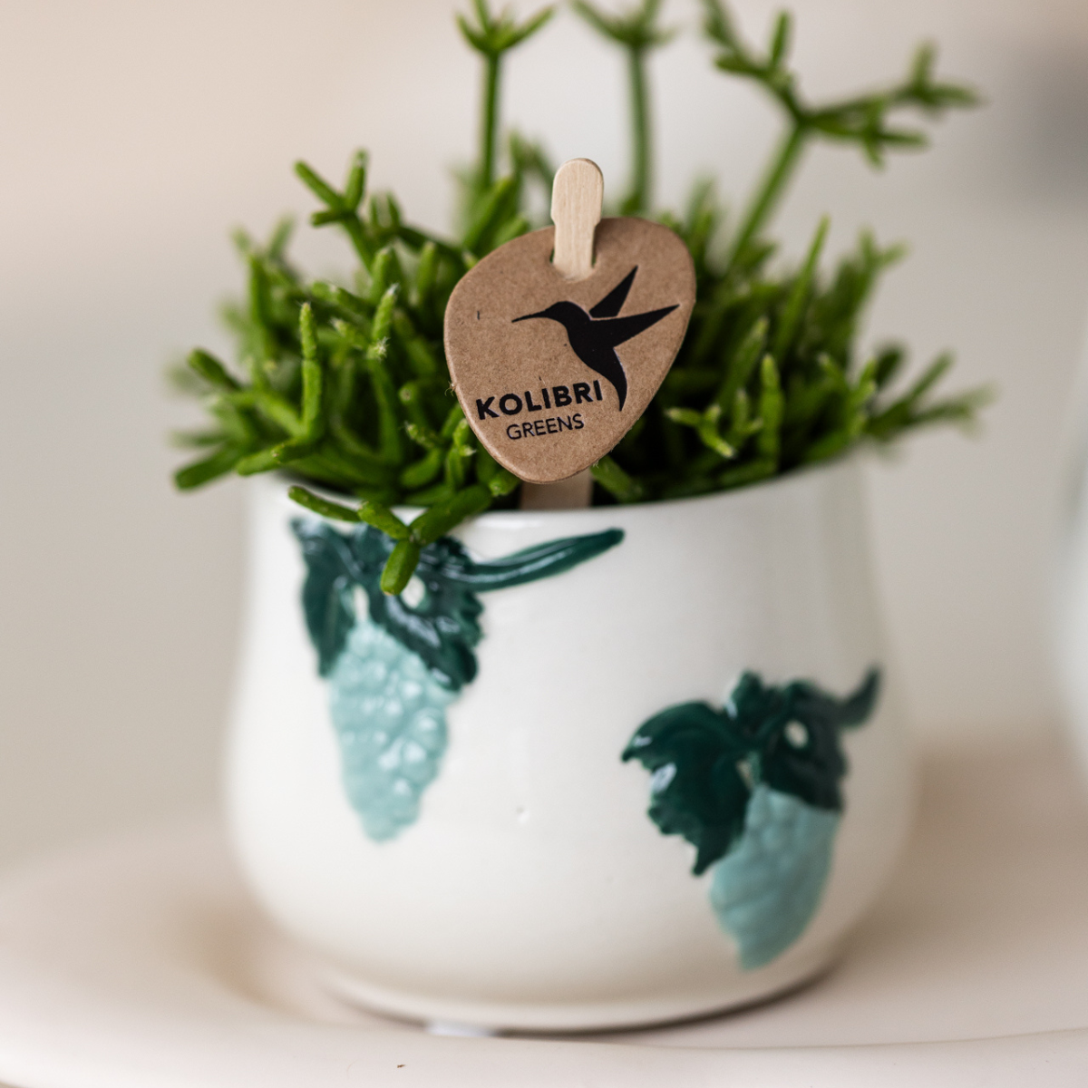 Keramieken Sierpot Grape - Blauw - Ø6 cm