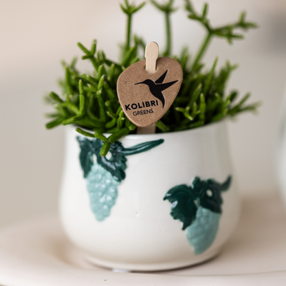 Keramieken Sierpot Grape - Blauw - Ø6 cm
