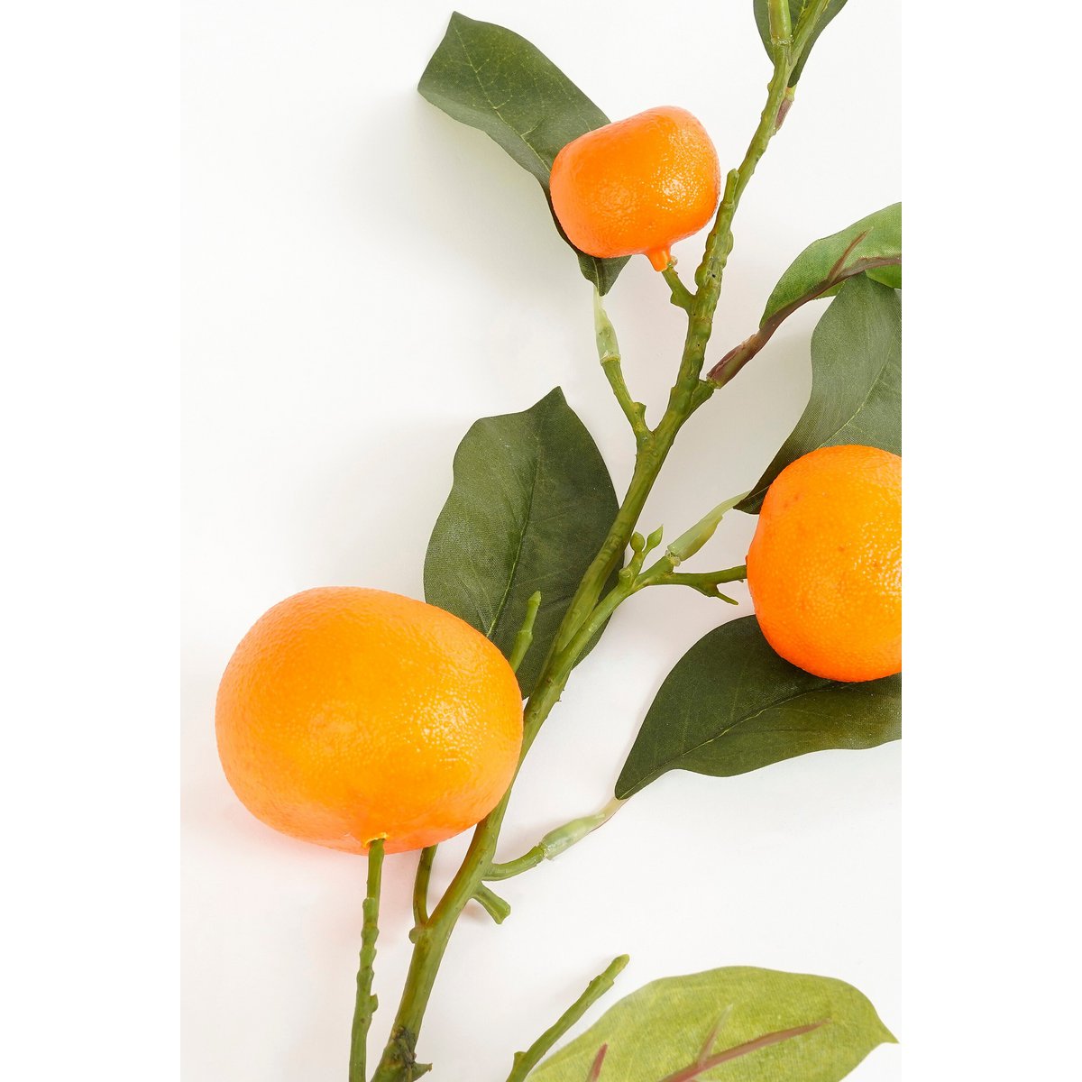 Kunsttak  Oranje