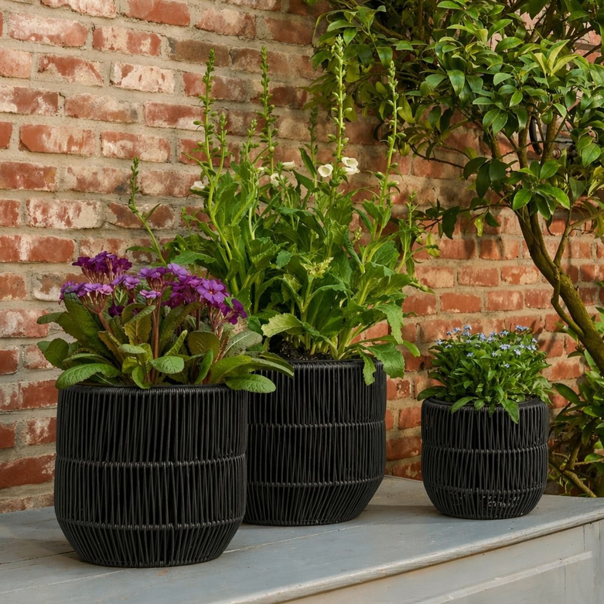 Bloempot buiten Peta zwart 3 stuks