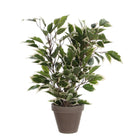 Kunstplant Ficus Natasja 40 cm groen