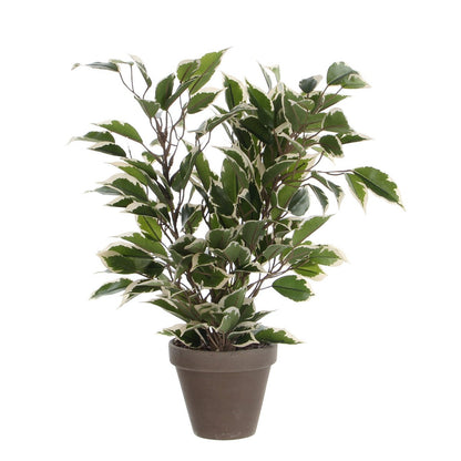 Kunstplant Ficus Natasja 40 cm groen