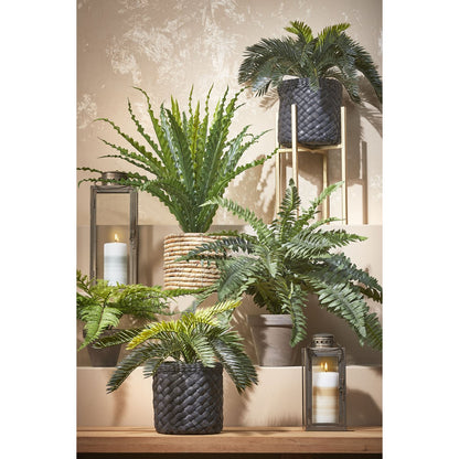 Kunstplant Asplenium 66x54x66 cm groen