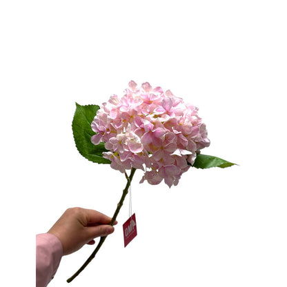 Artificial flowers Hydrangea Macrophylla Light Pink | Zijden kunstbloem | Lengte 50 1pcs