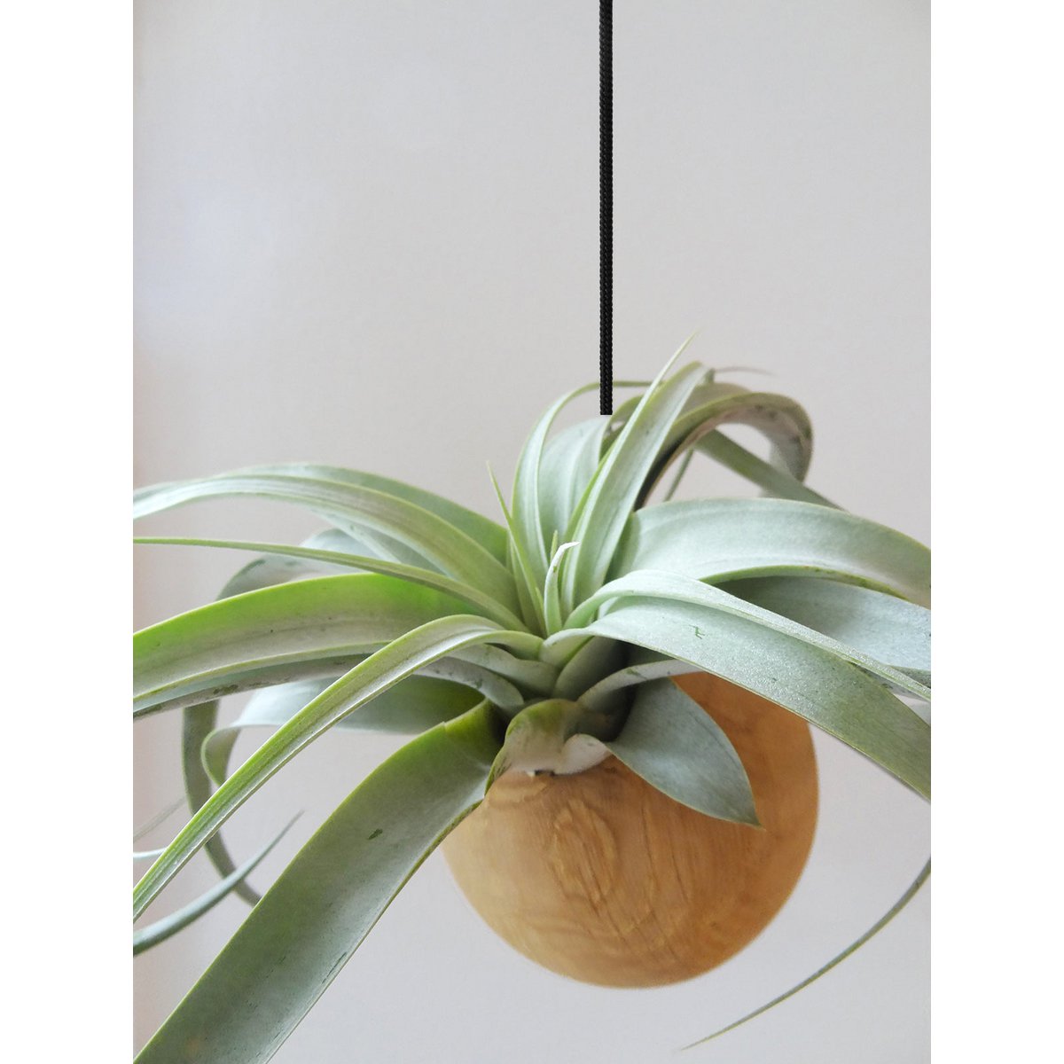 Hangbol licht eiken Ø10 cm