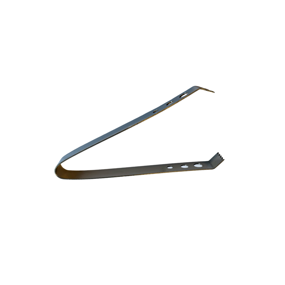 Ice tongs Louis (19 cm), stainless steel