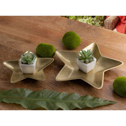 Decoratieschaaltjes aluminium goud zilver 25 cm set van 2