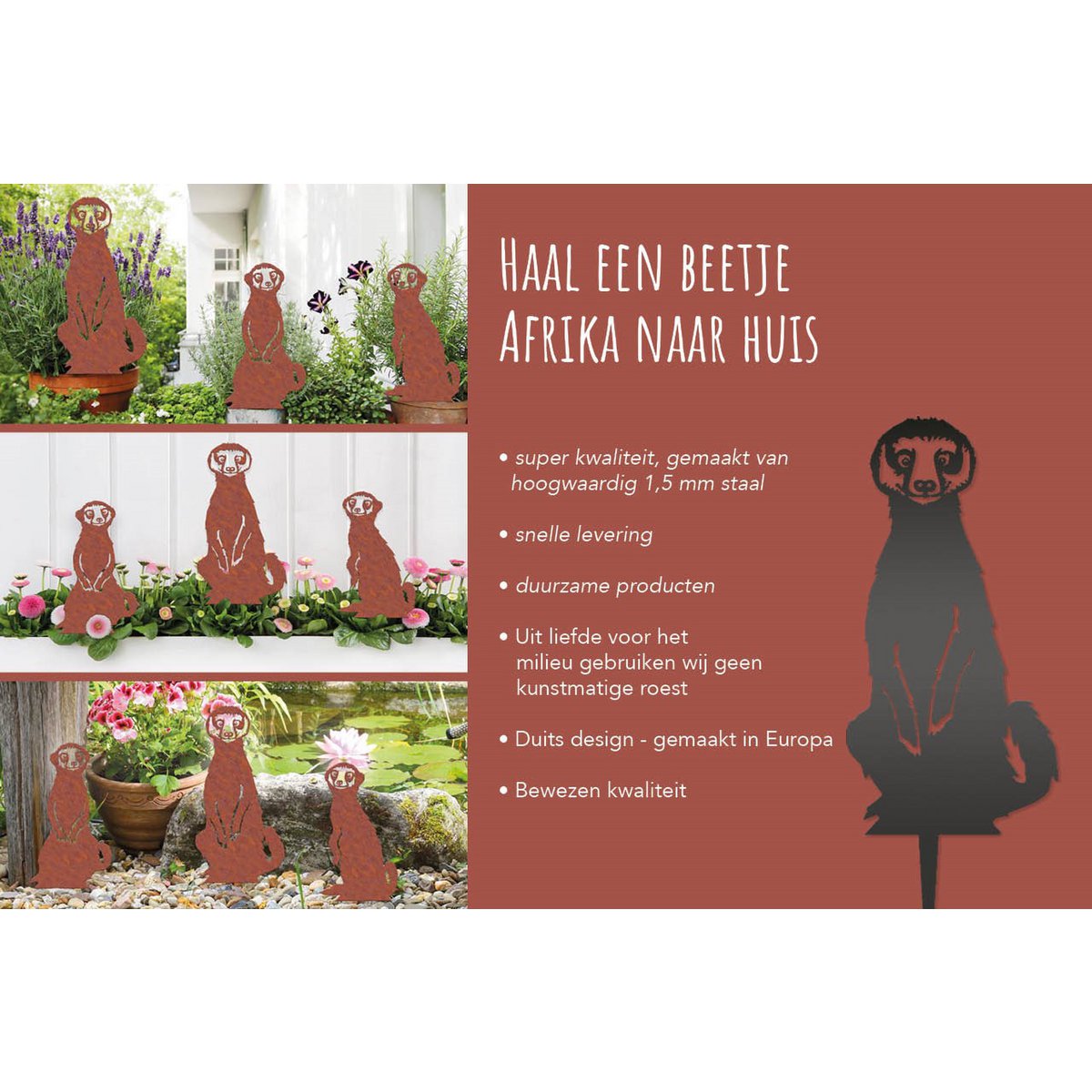 Geluksdieren Stokstaartjes Familie Ricci Ruby Rocky Set 3