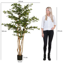 Kunstplant Olijfboom 183x130 cm groen