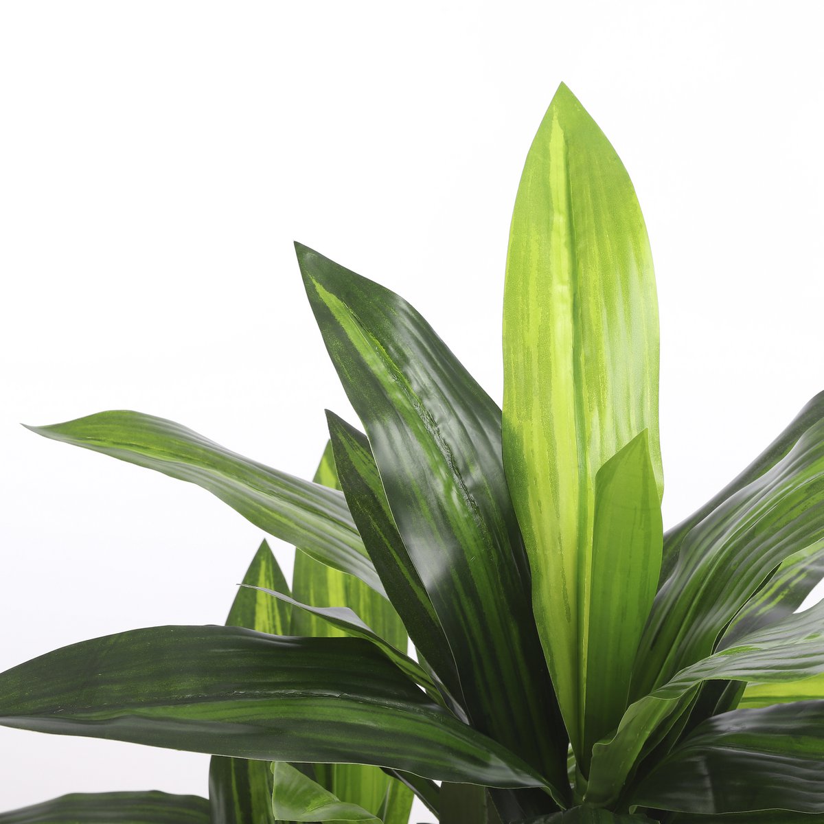 Dracaena Kunstplant H110 D60 Cm Onderhoudsvriendelijk